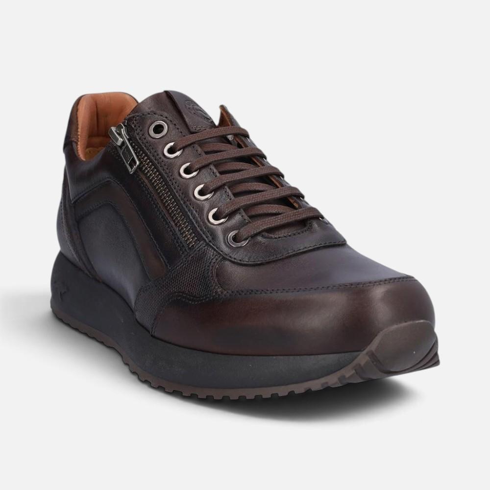 Kangaroos 1236
