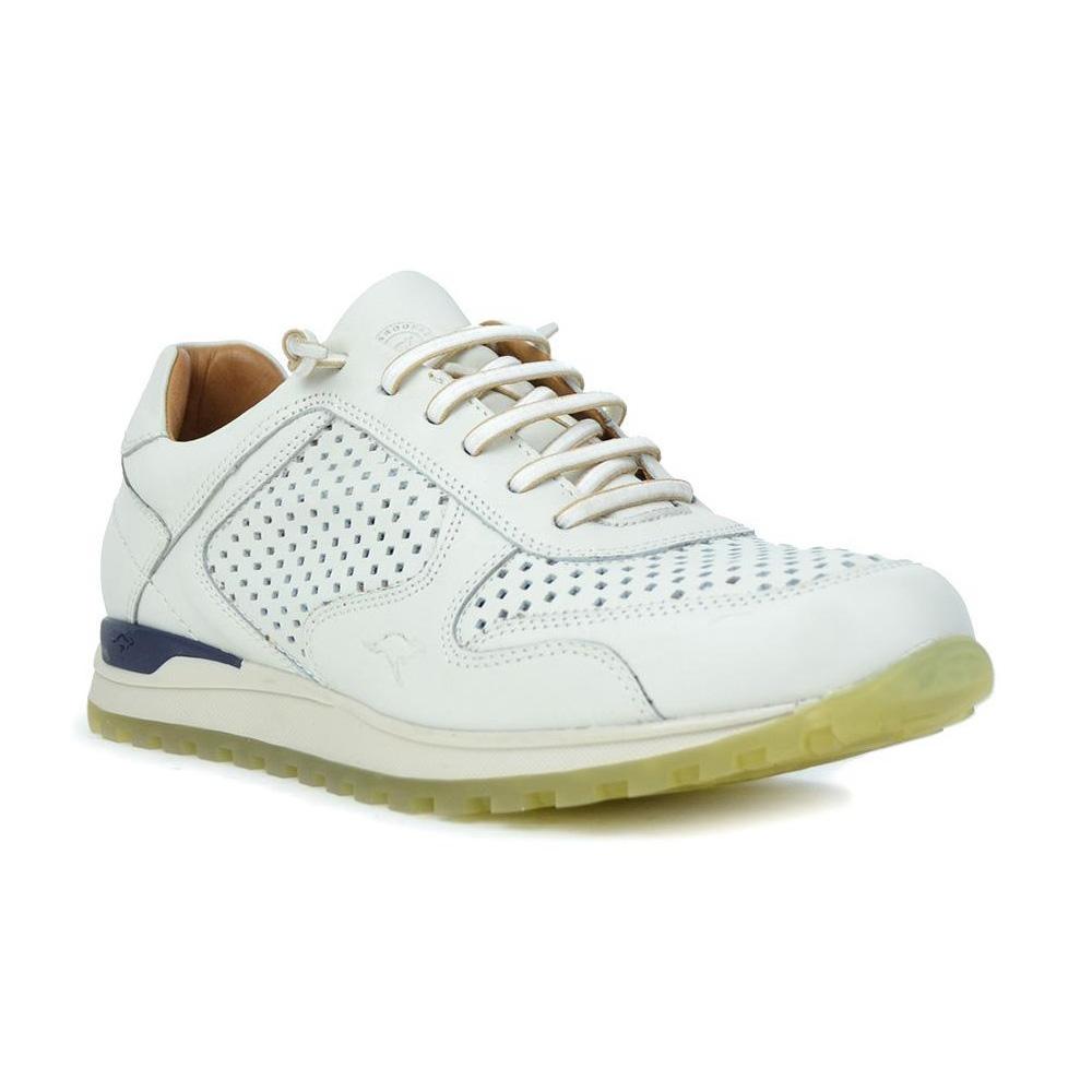 Kangaroos-846