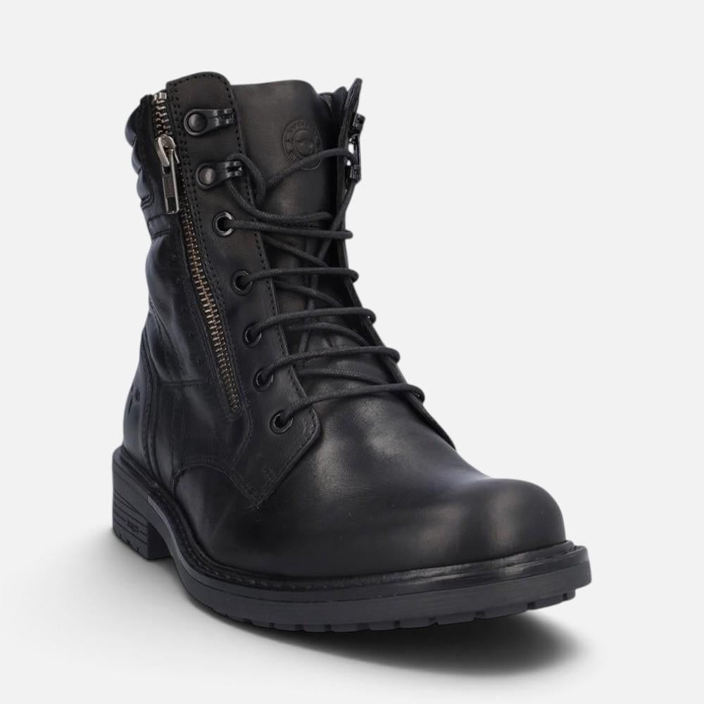 Kangaroos 1240