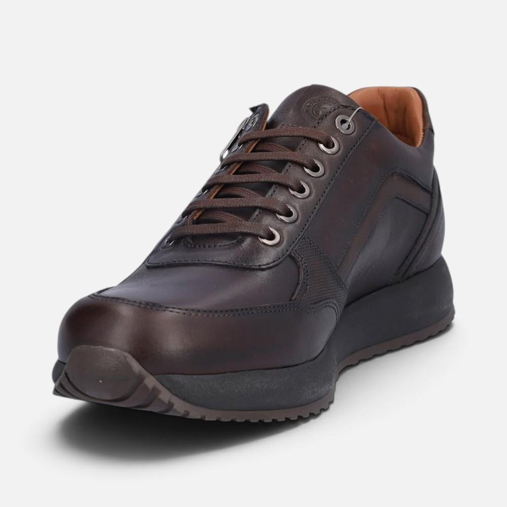 Kangaroos 1236