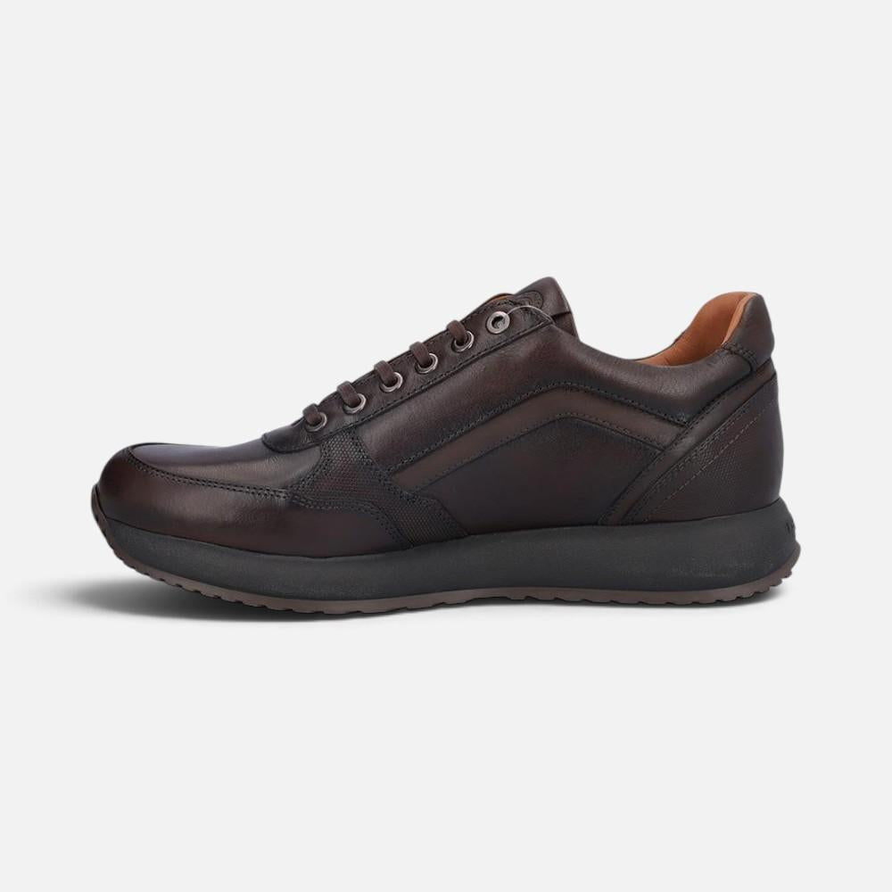 Kangaroos 1236