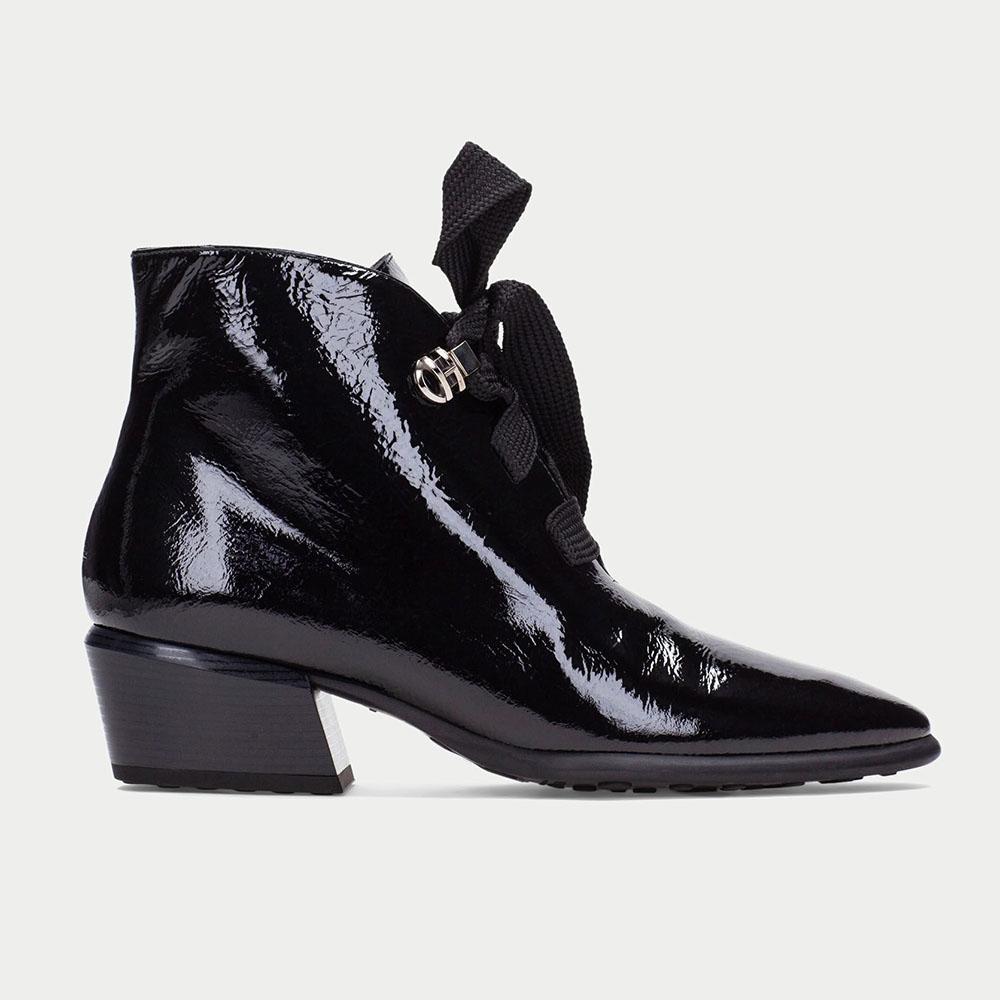 Hispanitas-PHI254255