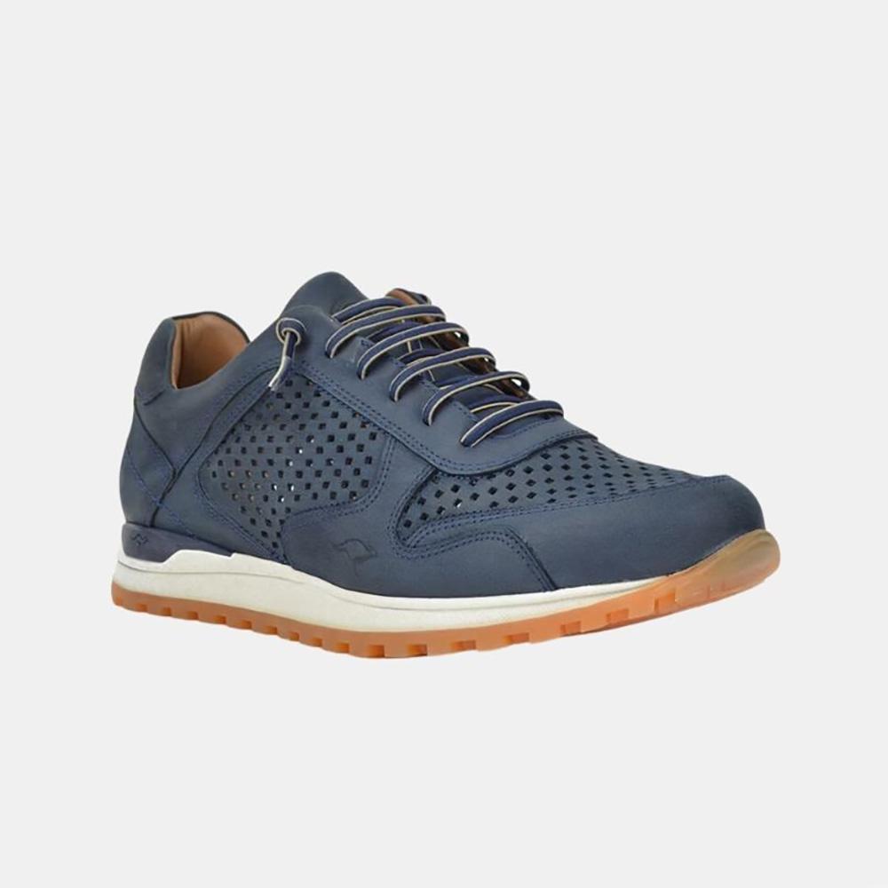 Kangaroos-846