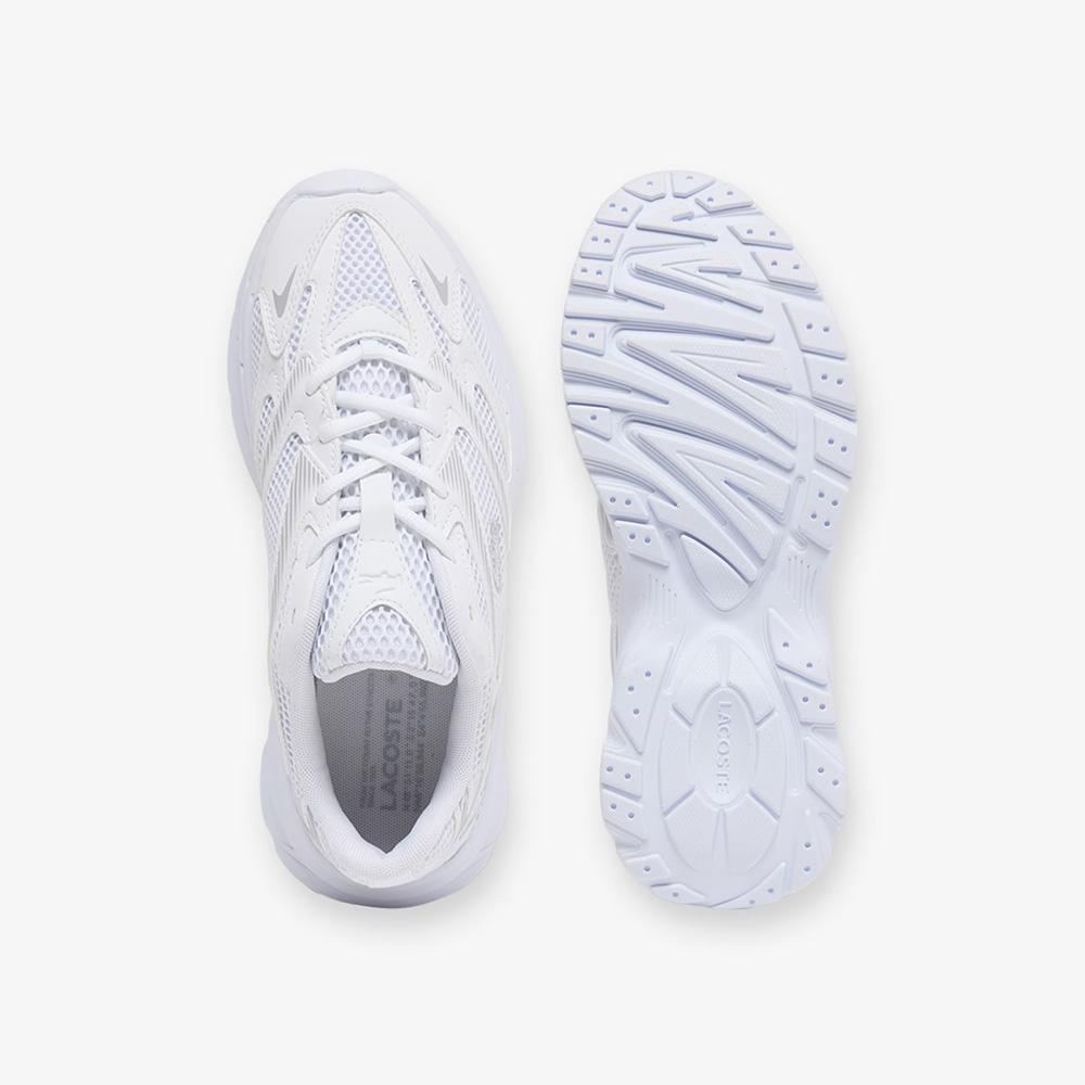 Lacoste 51SUJ0012
