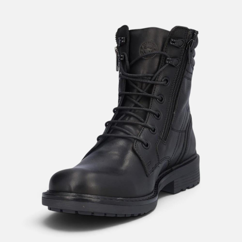 Kangaroos 1240
