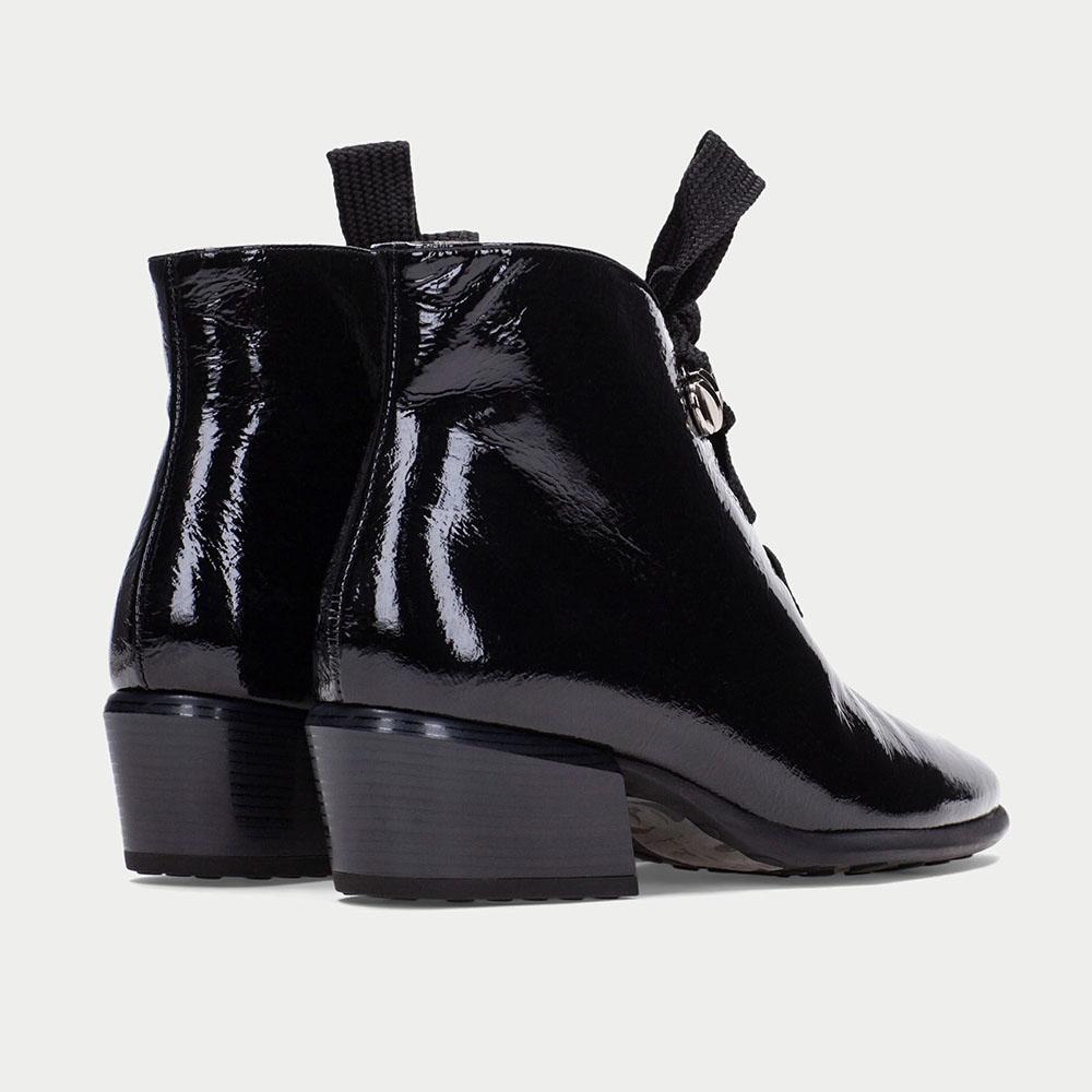 Hispanitas-PHI254255