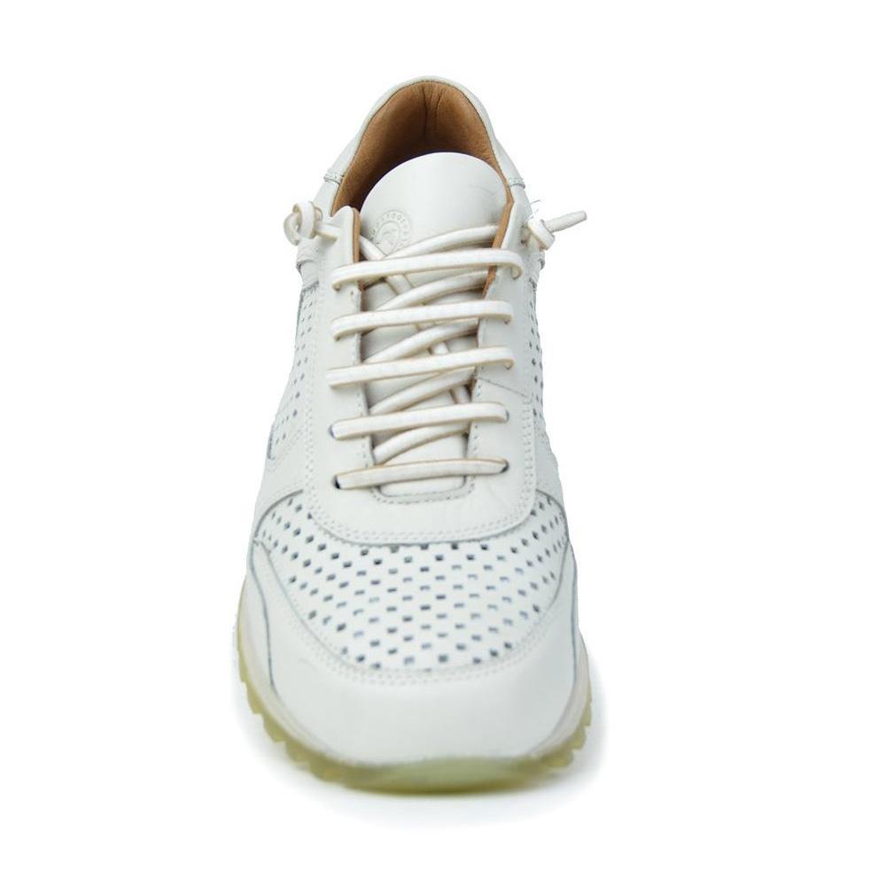 Kangaroos-846