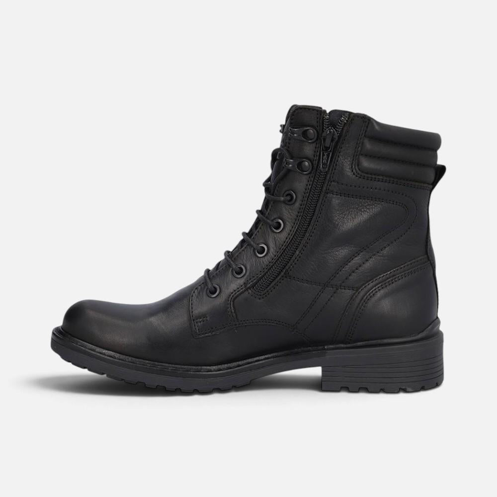 Kangaroos 1240