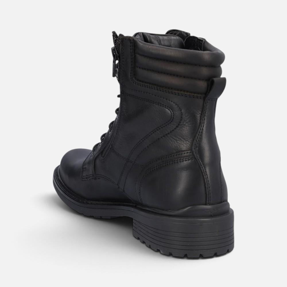 Kangaroos 1240